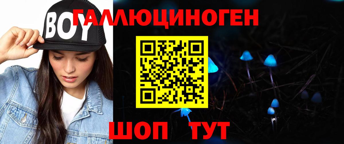 Галлюциногенные грибы GOLDEN TEACHER  Псилоцибиновые грибы Psilocybine cubensis  где можно купить наркотик  Воскресенск  Вход с VPN 